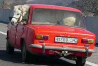 Transport transported