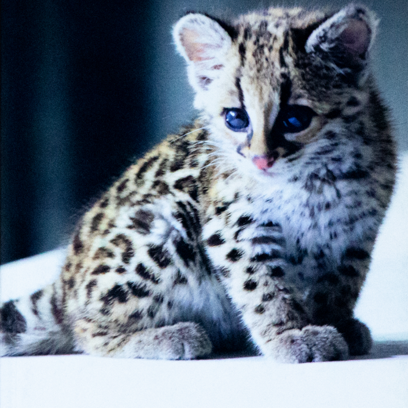 Bitácora de trabajo