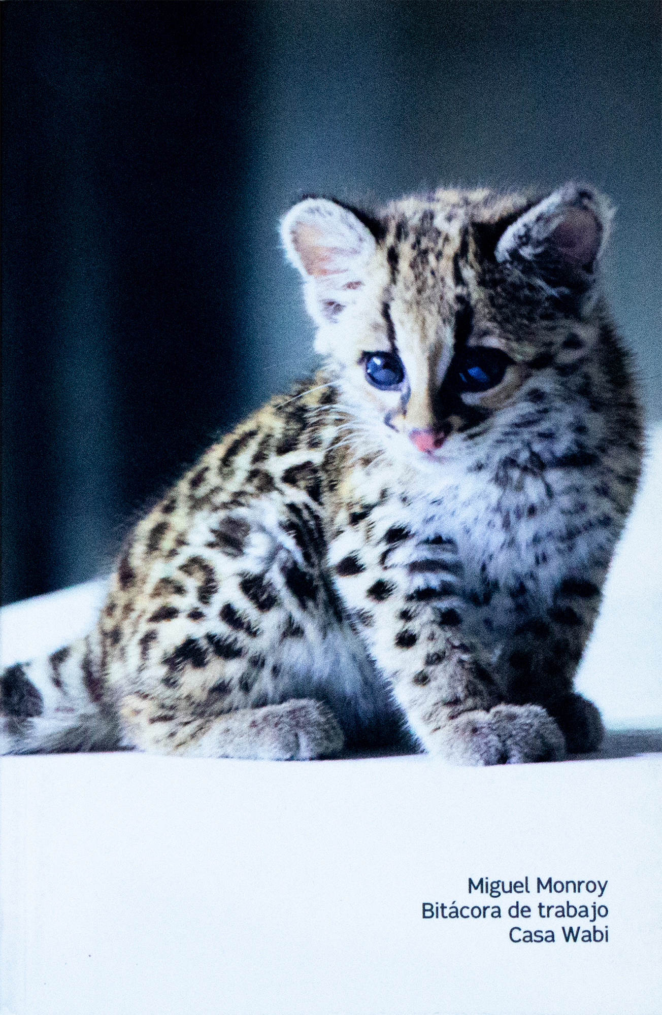 Bitácora de trabajo