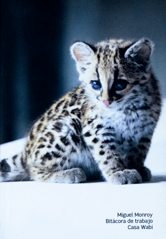 Bitácora de Trabajo