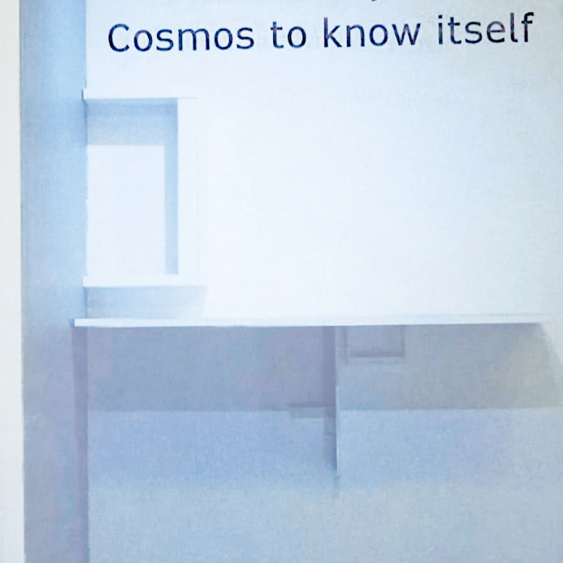 We are a way for the Cosmos to know itself